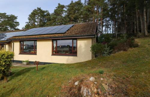 Alba Ben View - Foto 29