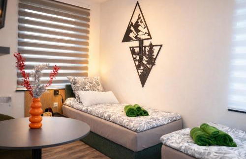 Studio-Apartament free Parking Domus Kushal - Foto 1