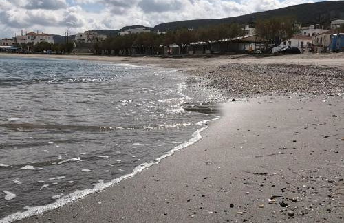 AGIAS PELAGIAS LITTLE BEACH HOUSE - Foto 21