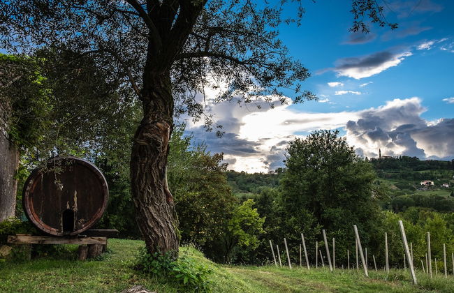 Agriturismo Le Spezie - Foto 42