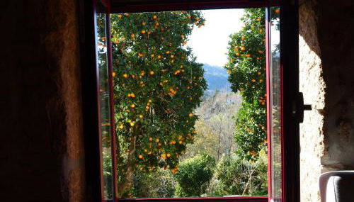 Nascente home place in nature next to a waterfall - Foto 2, Garden view