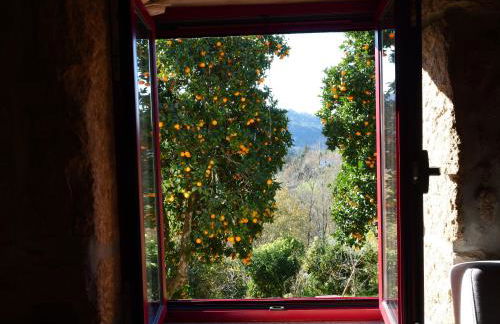 Nascente home place in nature next to a waterfall - Foto 2