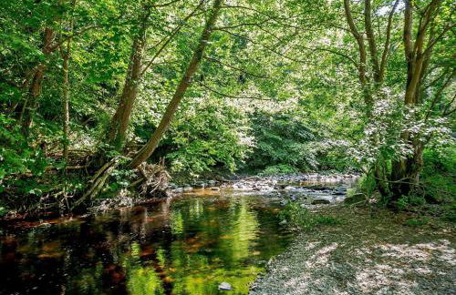 4 Bed in Llanfairtalhaiarn 88973 - Photo 25