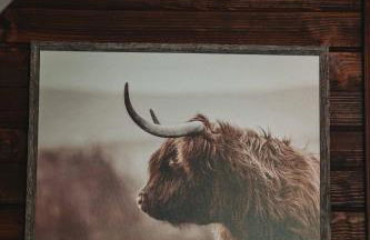 Heated & AC Full Bathroom Covered Wagon - Foto 6