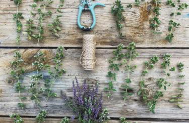 Magiczne Podlasie - Foto 28