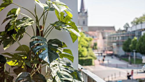 Ferienwohnung bei Marta - Foto 5