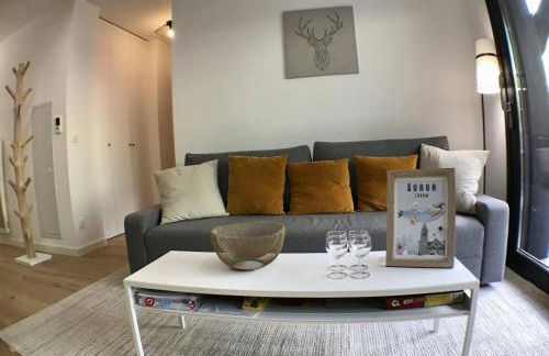 Auron- Magnifique 3p neuf - Foto 8