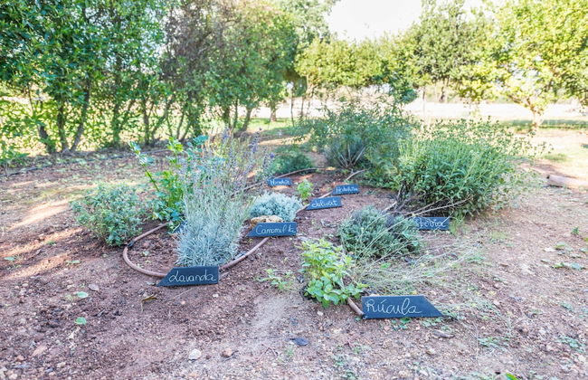 Vista Alegre in Manacor - Photo 30