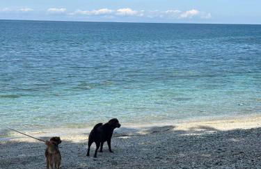 Luxury house Andrijana - Photo 40