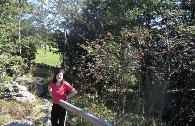 Ferienhaus Mitterdorf - Foto 33