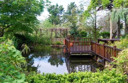 Casa Rural Arraigorri - Foto 8