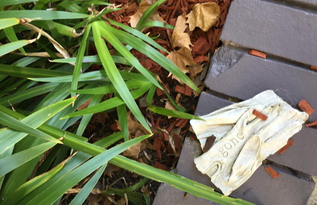 Quest St Leonards - Foto 35