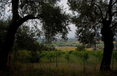 Agriturismo La Grotta - Foto 150