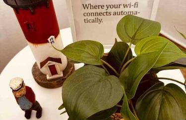 Casa del Kun. San Juan de L`Arena - Foto 6