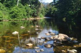 Casinhas do Rio - Casinha Azul na Floresta - Photo 21