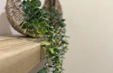 Cherry Blossom cottage - Foto 17