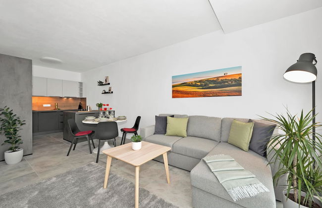 Fully equipped apartments with Terraces, Free garage parking, Netflix & AC - by Apartmány Šlapanice cz - Foto 26