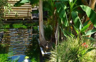 Fare Bambou - Foto 39