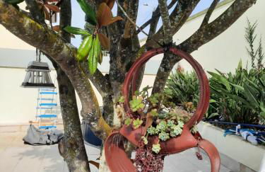 Michel's house - Foto 10