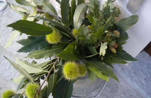 Agriturismo La Dimora Del Contadino - Photo 69