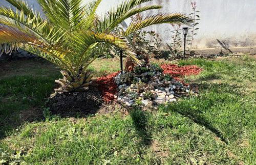 Villa Despina - Foto 7