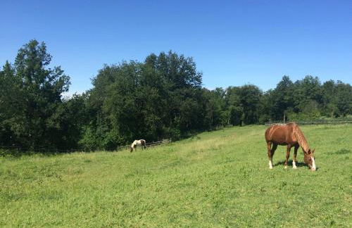 Agriturismo Il Colle del Falco - Photo 29