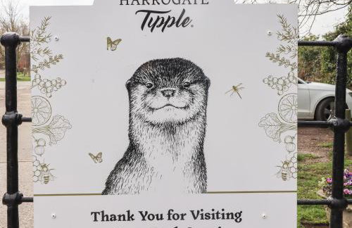 Foxy Cottage - Foto 41