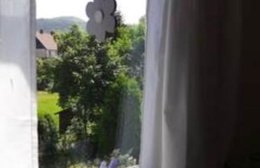 Ferienwohnung Pusteblume in Wolfshagen im Harz - Foto 12