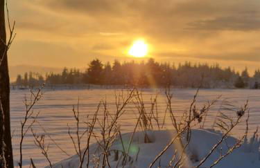 Ferienwohnung Sort Sol Grellsbülldeich 7 - Foto 62