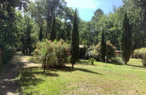 La Morandiere - Foto 58