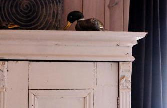 Les Jardins de la Contie - Foto 14