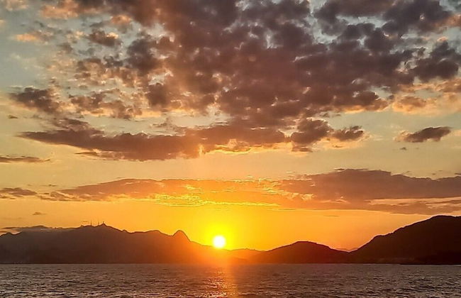 Andorinhas - Foto 57