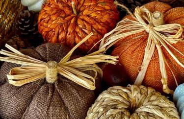 Winding Creek Cabin - Photo 57