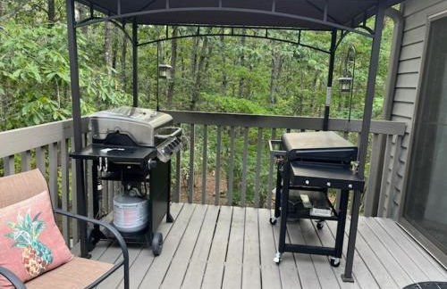 Cozy Mountain Song- Massanutten Mountain - Foto 36