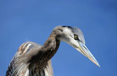 Riverfront Cabin Rental for Four near Crater Lake National Forest, Oregon - Foto 13