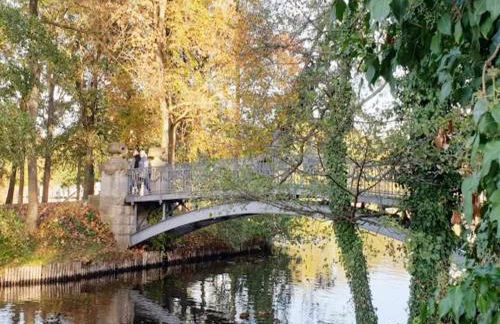 Ferienwohnungen am Mirower See, Mirow - Photo 26