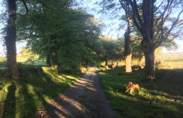 The parlour - Foto 23