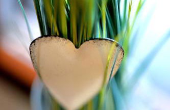 Ferienwohnungen by Weingut Hommes in Ernst Mosel - Foto 15