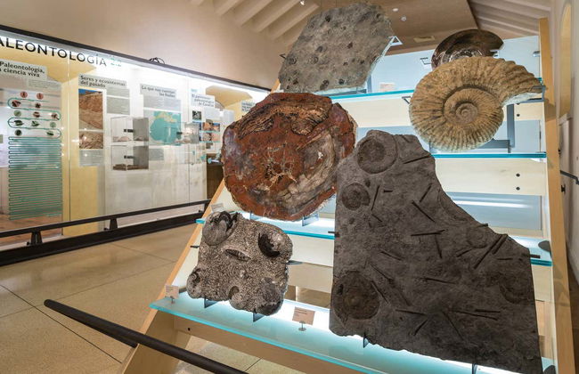 MUNA Museum Tickets + Teide National Park Audio Guide - Foto 8