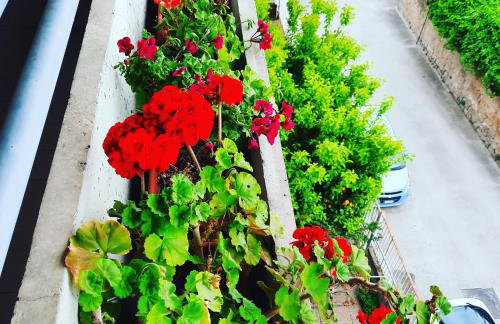 Luna Reale Relais e Suite - Foto 57