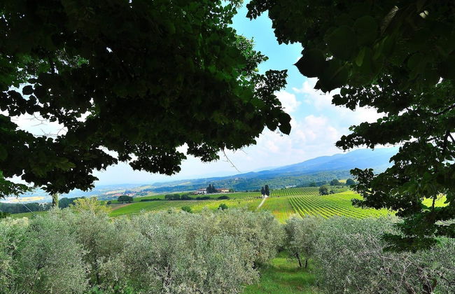 Rustic Elegance Near Florence - Foto 54