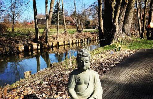 Spreewaldinsel Leipe - Foto 40