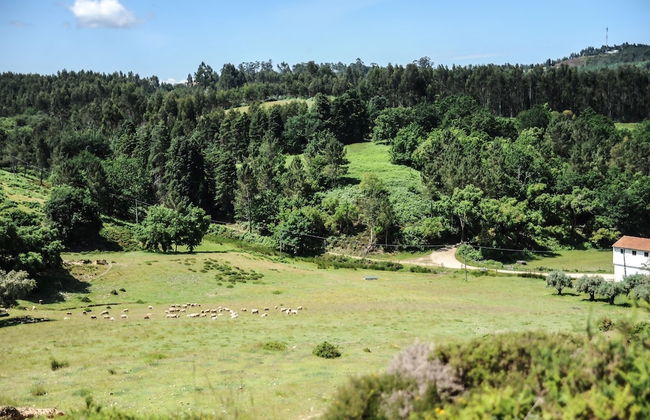 Vumba - The Alembic - Foto 28