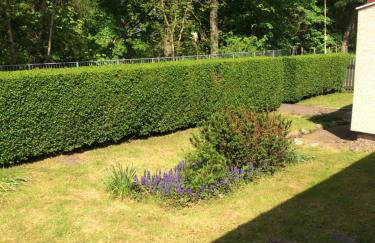 Springwell Cottage - Foto 12