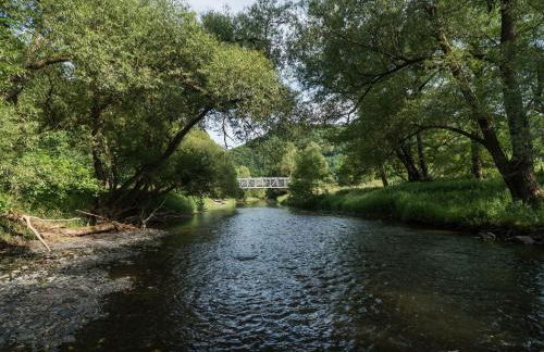 Apartment in Waldbreitbach mit Whirlpool by Interhome - Foto 27
