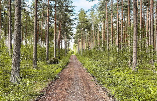 1 Person Holiday Home in Bromolla-by Traum - Foto 15