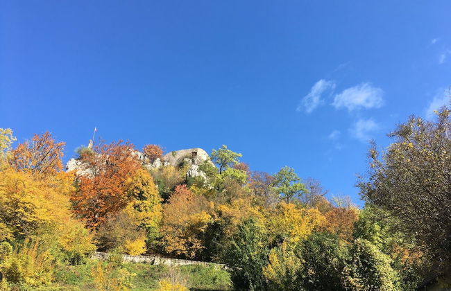 La Maison des Fontaines D'alsace - Photo 40