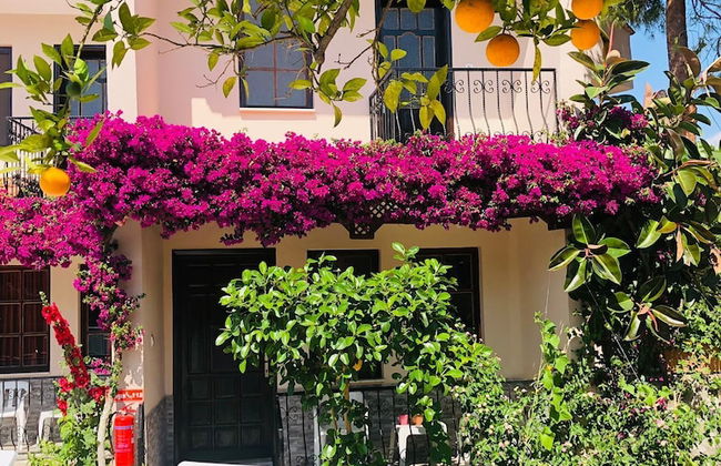 Arda Villas - Photo 13