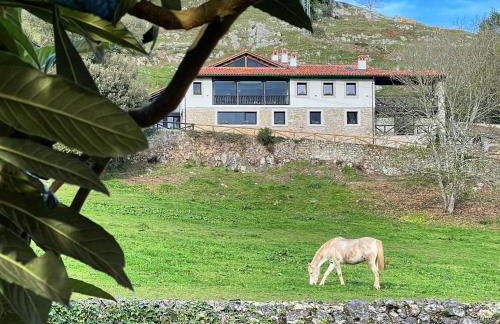 Apartamentos Picabel - Foto 68