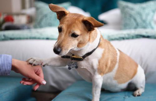 The Apartments by The Sloane Club - Foto 97